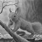 Eich 4, 14 x 19 cm, Kopie 2