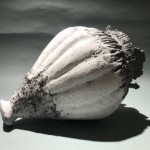 Kapselform 2
