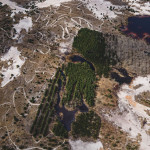 untitled 8_Ingo_Lawaczeck