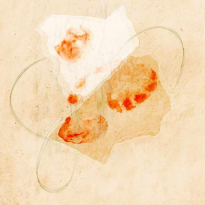 Dominique_Raack-Schwingungen-I