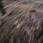_FF13264