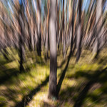 ffpeters_FP28362