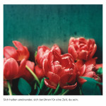 1a Aus der Serie IM WANDEL 2024 Kathrin von Eye