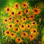 Sonnenhut Silke Heydrich