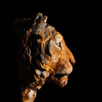_Y7A9363 Silke Heydrich