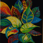 Leyde_1