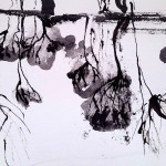 Wiggert_1